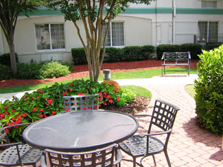 patio and annual color