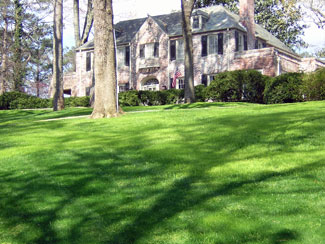lawn