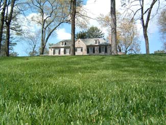 green carpet of grass