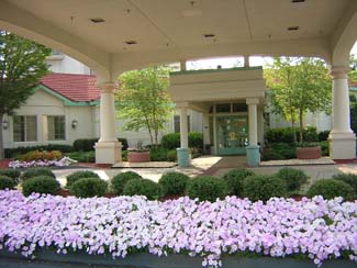 annual color display