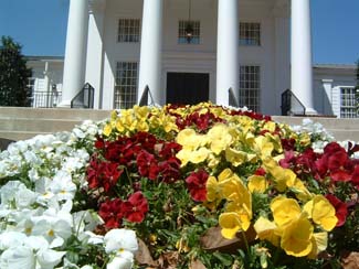 annual color at Town Hall